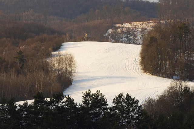 slovenské polia pri západe slnka s traktorom
